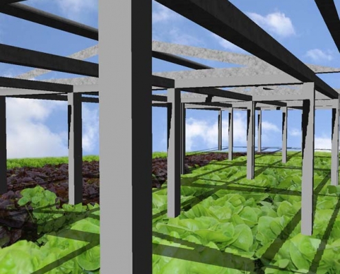 agrarkurtsystem_gewächshaus-montage