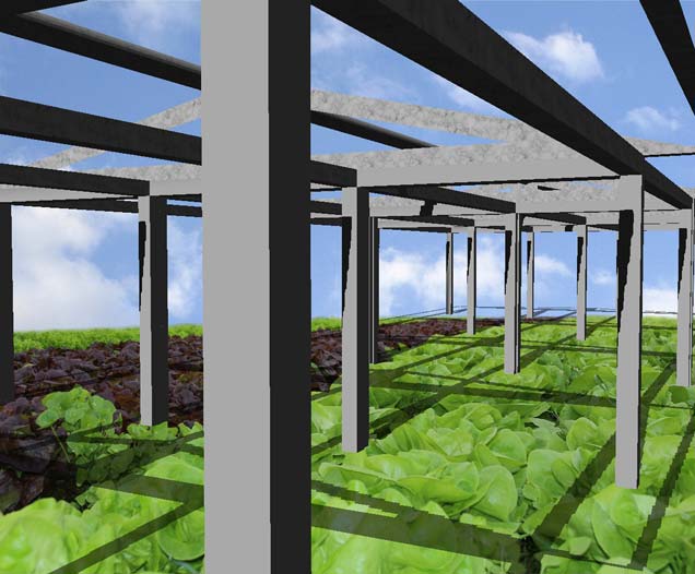 agrarkurtsystem_gewächshaus-montage